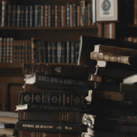 Buried by books